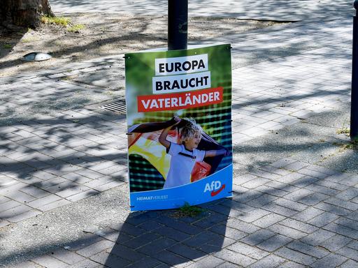 Ein Wahlplakat mit der Aufschrift "Europa braucht Vaterländer" 