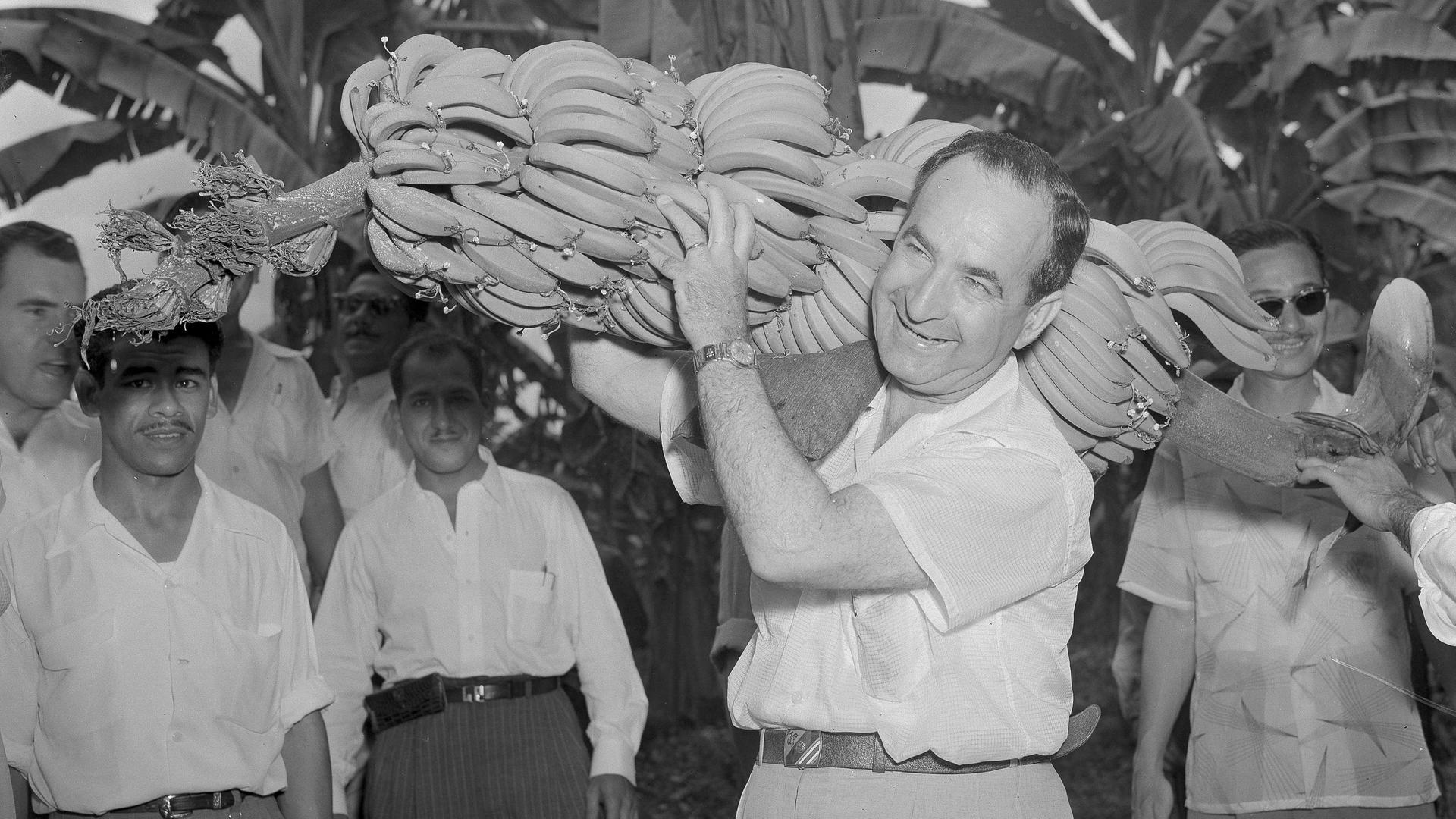 José Figueres, früherer Präsident Costa Ricas, beim Tragen einer Bananenstaude am 22. Februar 1955