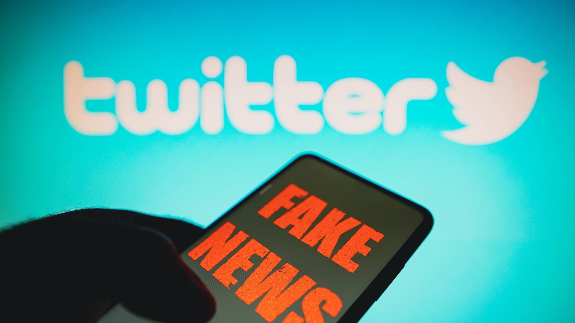 July 13, 2022, Brazil. In this photo illustration, the words fake news are displayed on a smartphone with a Twitter logo in the background. July 13, 2022, Brazil. In this photo illustration, the words fake news are displayed on a smartphone with a Twitter logo in the background Copyright: xZoonar.com/rafapressx zoonar_18851637