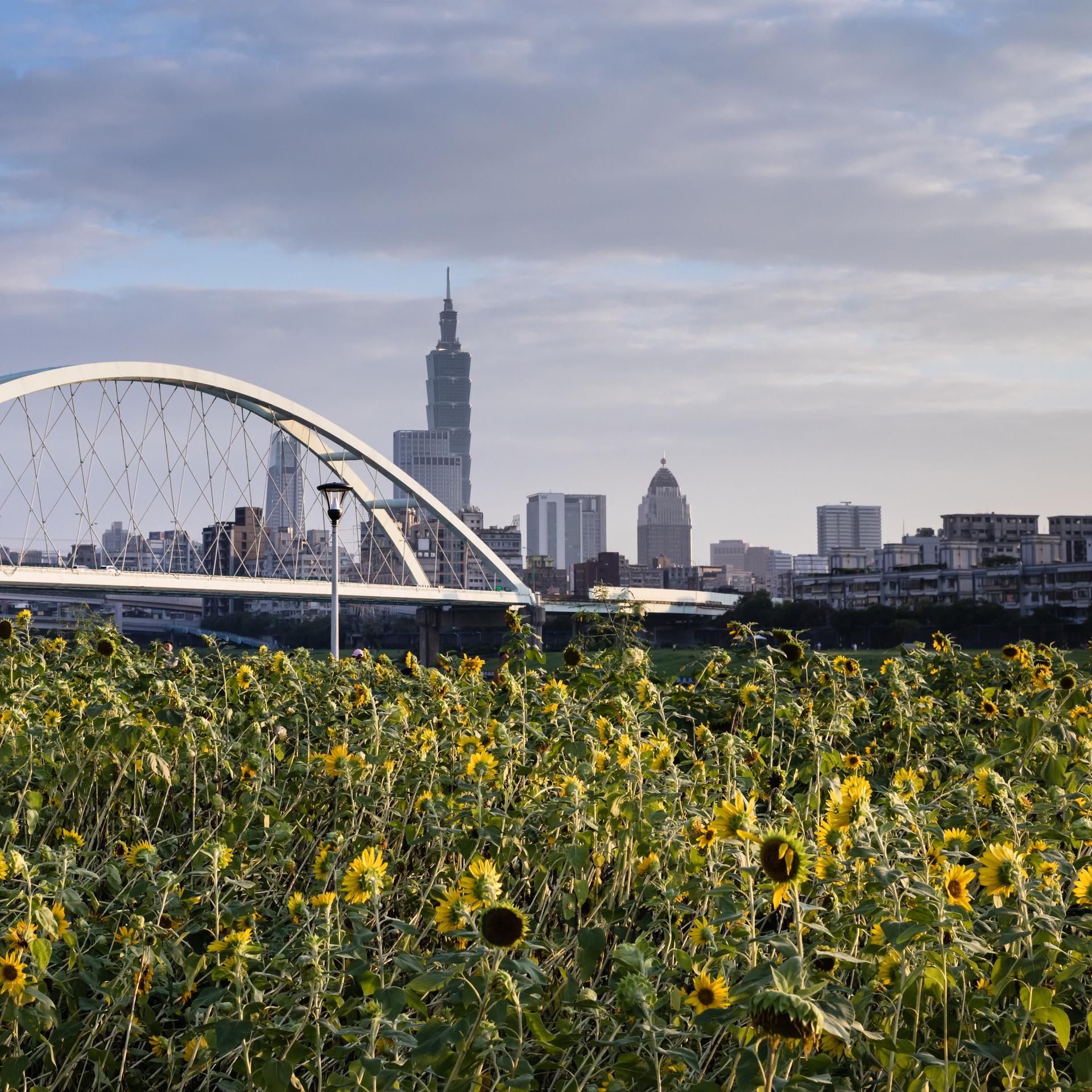 Literatur aus Taiwan: Lasst 100 Sonnenblumen blühen
