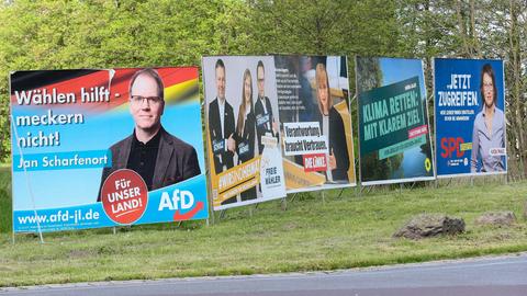 Wahlplakate verschiedener Parteien stehen bei der Landtagswahl in Sachsen-Anhalt am Straßenrand auf einer Rasenfläche. 