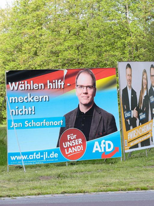 Wahlplakate verschiedener Parteien stehen bei der Landtagswahl in Sachsen-Anhalt am Straßenrand auf einer Rasenfläche. 