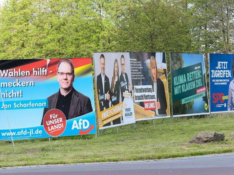 Wahlplakate verschiedener Parteien stehen bei der Landtagswahl in Sachsen-Anhalt am Straßenrand auf einer Rasenfläche. 