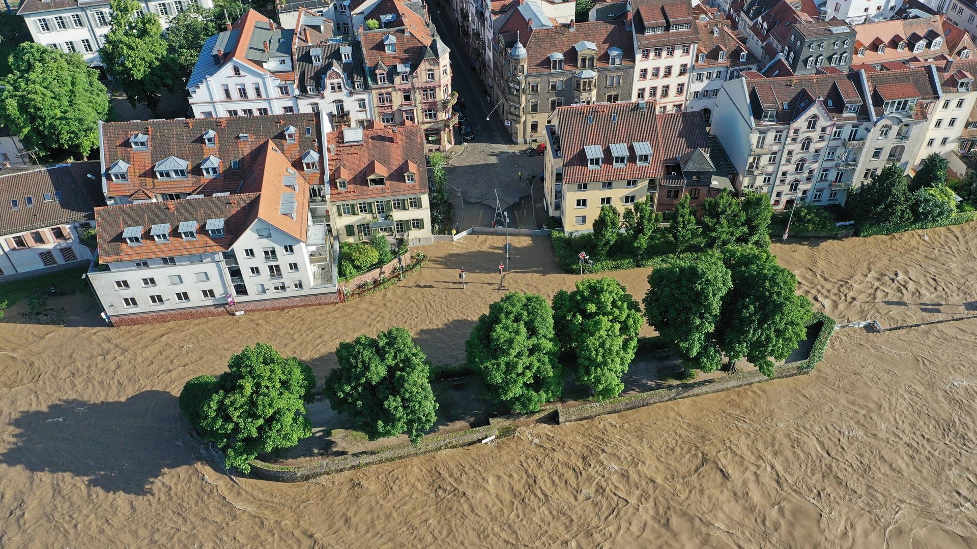 Hochwasser in Heidelberg (Baden-Württemberg) am 3. Juni 2024 Hochwasser in Heidelberg (Baden-Württemberg) am 3. Juni 2024