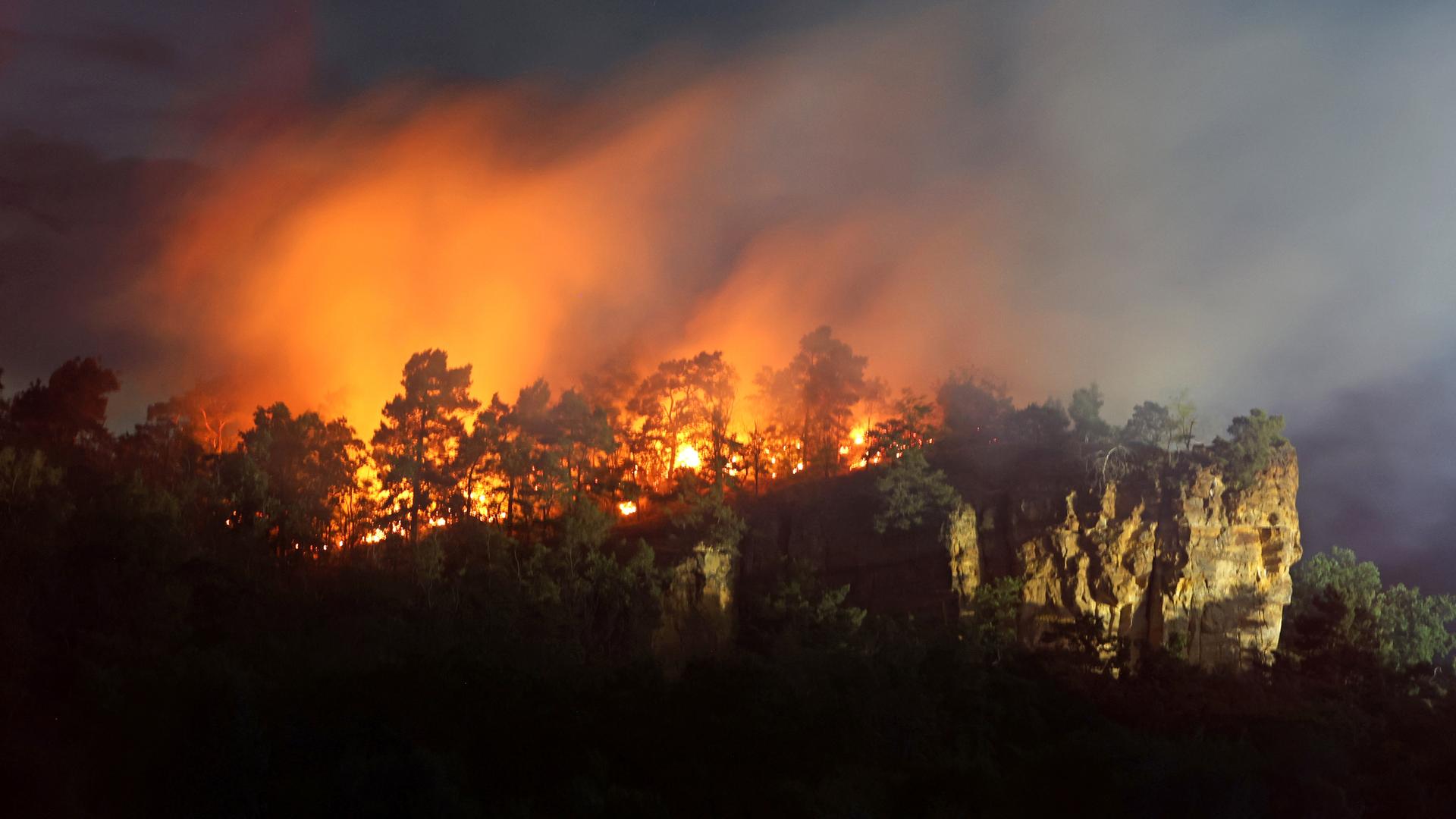 Eine Waldfläche im Bereich Lehof in Quedlinburg steht am Abend in Flammen. 
