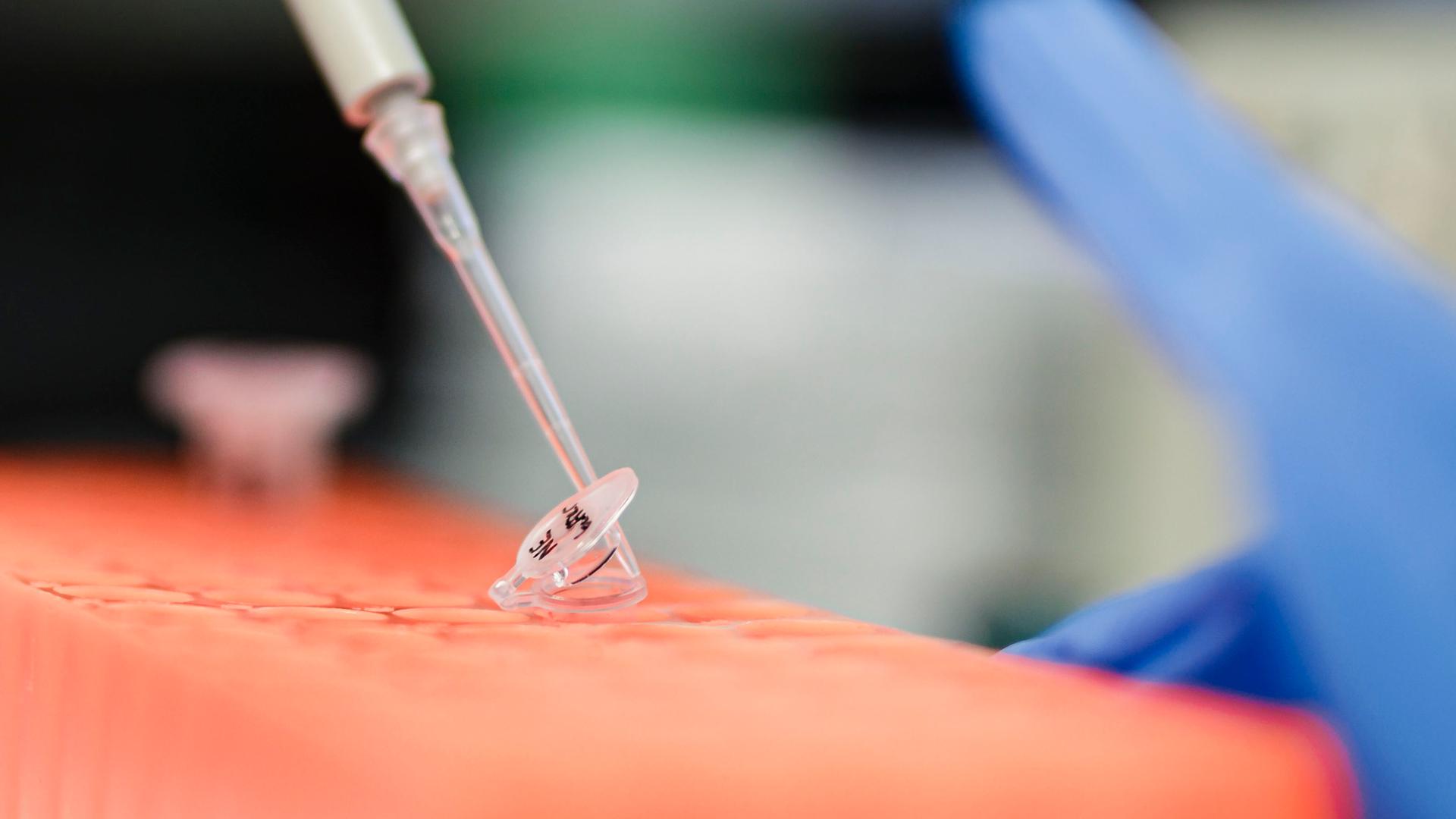 In einem Labor wird mit einer Pipette eine Flüssigkeit in ein Plastikröhrchen gegeben.