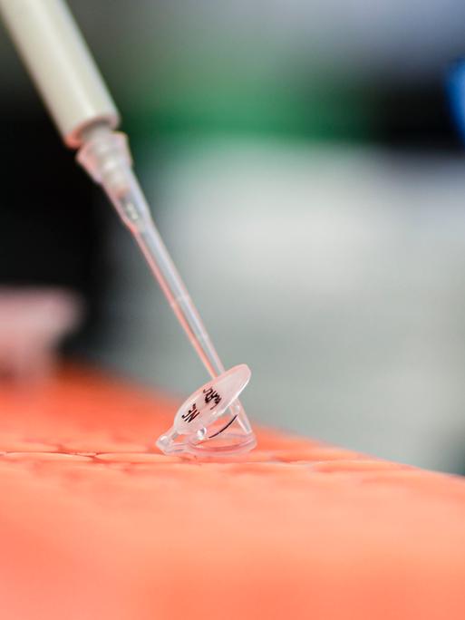 In einem Labor wird mit einer Pipette eine Flüssigkeit in ein Plastikröhrchen gegeben.