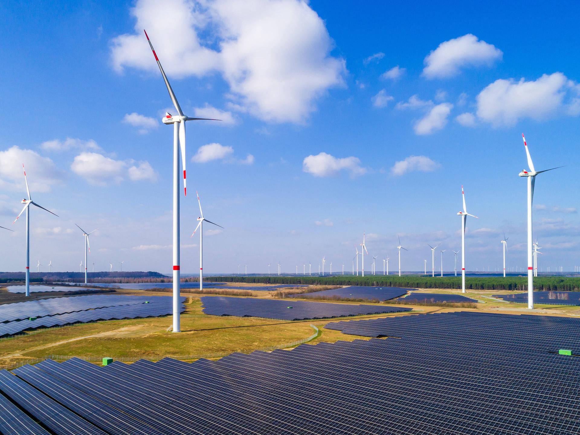 Windräder stehen auf freiem Feld vor den Panelen einer Solaranlage.