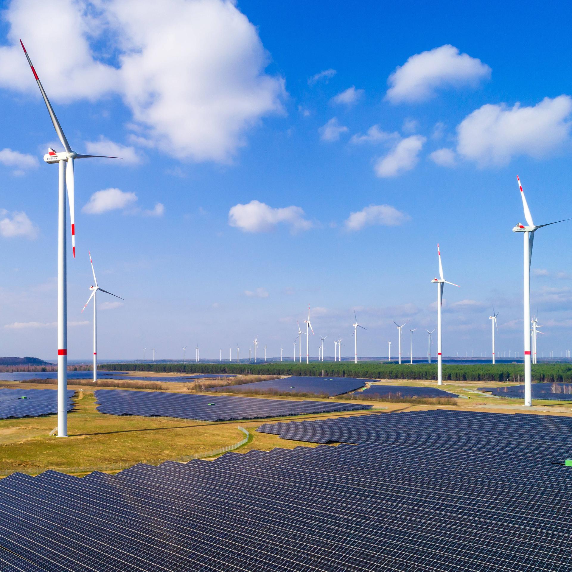 Energiewende - Wie die Lausitz in der Windkraft Maßstäbe setzt (Länderreport)