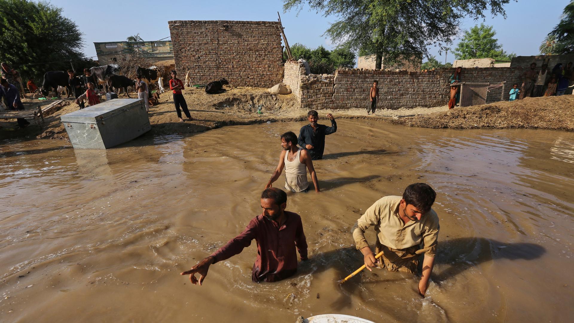 Dorfbewohner waten in Richtung eines Rettungsbootes, das sich nähert, um sie aus einem überfluteten Gebiet im Dorf Daryapur in der Nähe von Jalalpur Pirwala im Distrikt Multan, Pakistan, zu evakuieren. Dorfbewohner waten in Richtung eines Rettungsbootes, das sich nähert, um sie aus einem überfluteten Gebiet im Dorf Daryapur in der Nähe von Jalalpur Pirwala im Distrikt Multan, Pakistan, zu evakuieren.