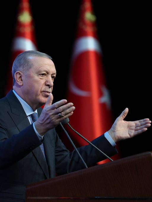 Recep Erdogan steht gestikulierend am Rednerpult; im Hintergrund stehen drei Türkeiflaggen.