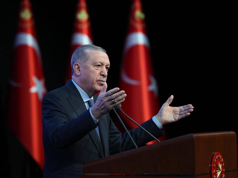 Recep Erdogan steht gestikulierend am Rednerpult; im Hintergrund stehen drei Türkeiflaggen.