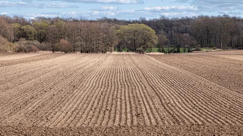 Blick auf ein frisch gepflügtes Feld. Weil es im Winter und Frühling in Teilen Deutschlands zu wenig geregnet hat sind die Böden stark ausgetrocknet.