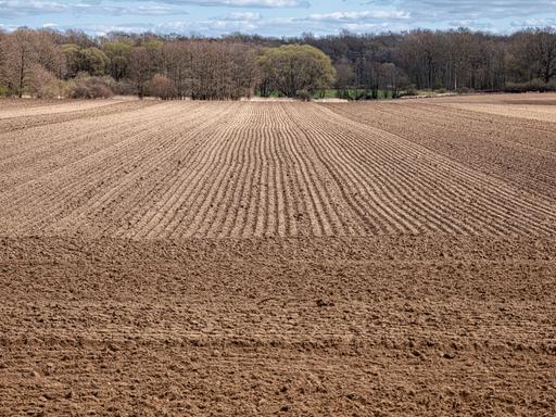 Blick auf ein frisch gepflügtes Feld. Weil es im Winter und Frühling in Teilen Deutschlands zu wenig geregnet hat sind die Böden stark ausgetrocknet.