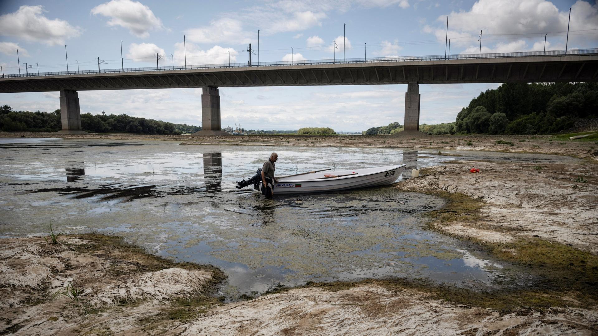 Ein Fischer versucht am 22. Juli 2026, sein Boot zu bewegen, das vor der Calafat-Vidin-Brücke, die Bulgarien und Rumänien in der Nähe des Dorfes Antimovo im Südosten Bulgariens verbindet, durch Algen am Grund der Donau blockiert ist.