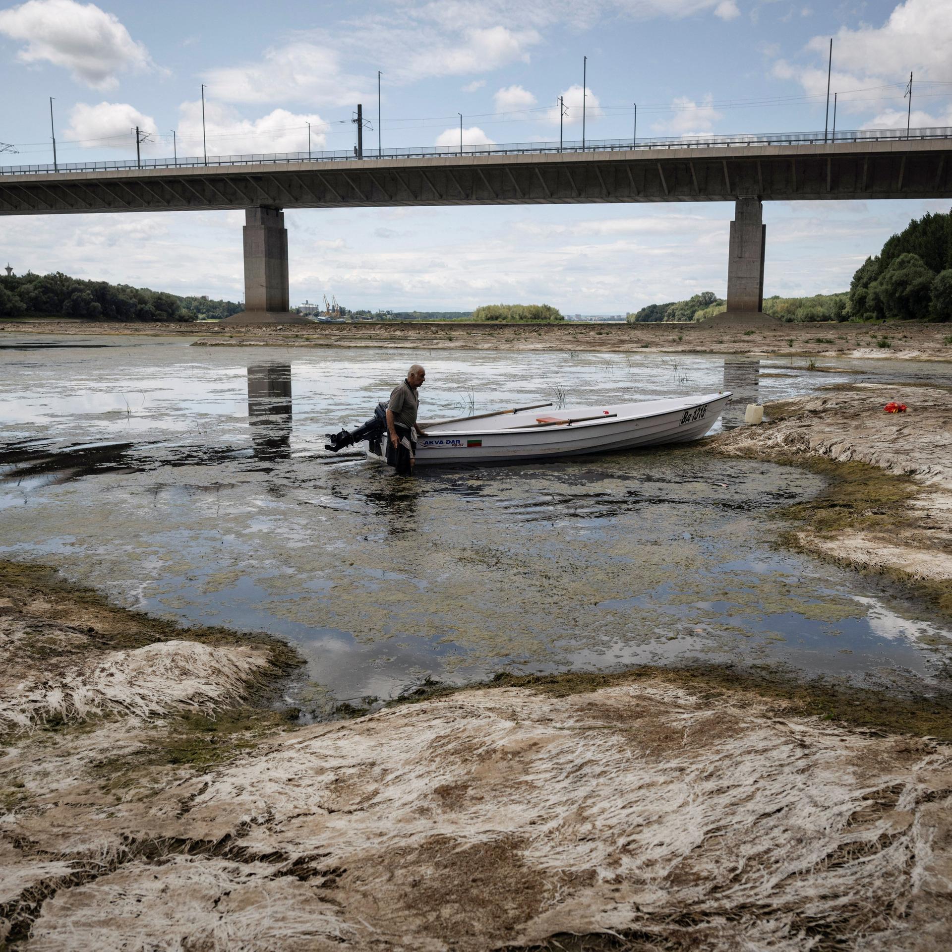 Ein Fischer versucht am 22. Juli 2026, sein Boot zu bewegen, das vor der Calafat-Vidin-Brücke, die Bulgarien und Rumänien in der Nähe des Dorfes Antimovo im Südosten Bulgariens verbindet, durch Algen am Grund der Donau blockiert ist.