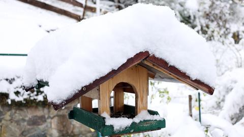 Verschneites Vogelhäuschen im Hochschwarzwald