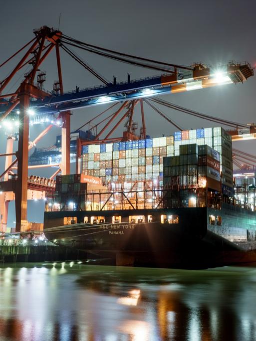 Das Containerschiff "MSC New York" wird am frühen Morgen am Eurogate-Terminal im Hamburger Hafen abgefertigt.