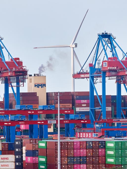 Kräne, Container und ein Windrad sind im Hamburger Hafen zu sehen.
