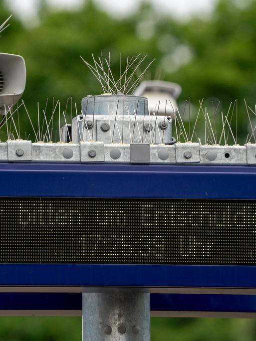 Anzeigetafel auf einem Bahnhof mit der Bitte um Entschuldigung, gespickt mit dünnen Drähten gegen Vögel, um die technischen Geräte von Vogelkot freizuhalten