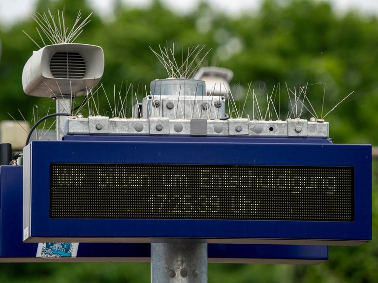 Anzeigetafel auf einem Bahnhof mit der Bitte um Entschuldigung, gespickt mit dünnen Drähten gegen Vögel, um die technischen Geräte von Vogelkot freizuhalten