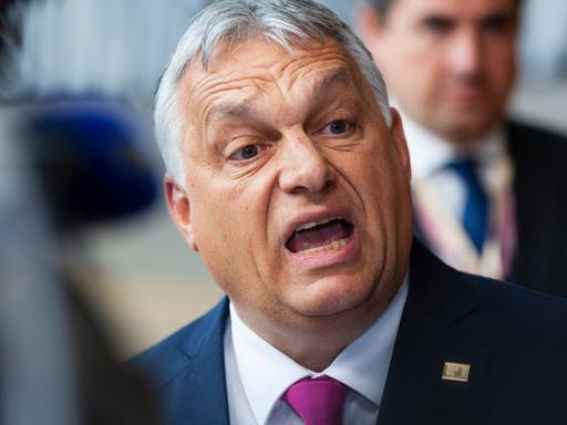 Ungarns Regierungschef Viktor Orban