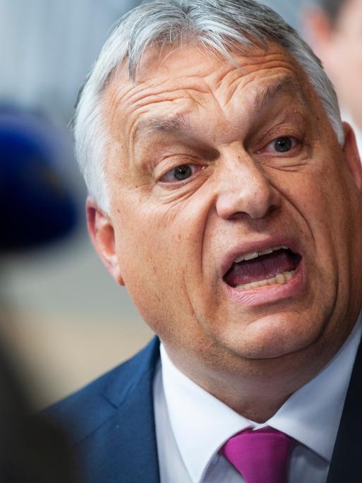 Ungarns Regierungschef Viktor Orban