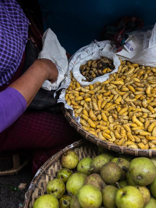 Eine Frau sitzt auf einem Markt, vor ihr ein Korb mit Insektenlarven, daneben weitere Körbe mit Äpfeln und Mangos.