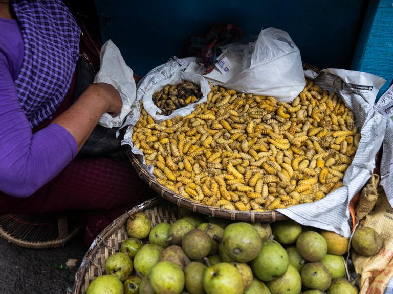 Eine Frau sitzt auf einem Markt, vor ihr ein Korb mit Insektenlarven, daneben weitere Körbe mit Äpfeln und Mangos.