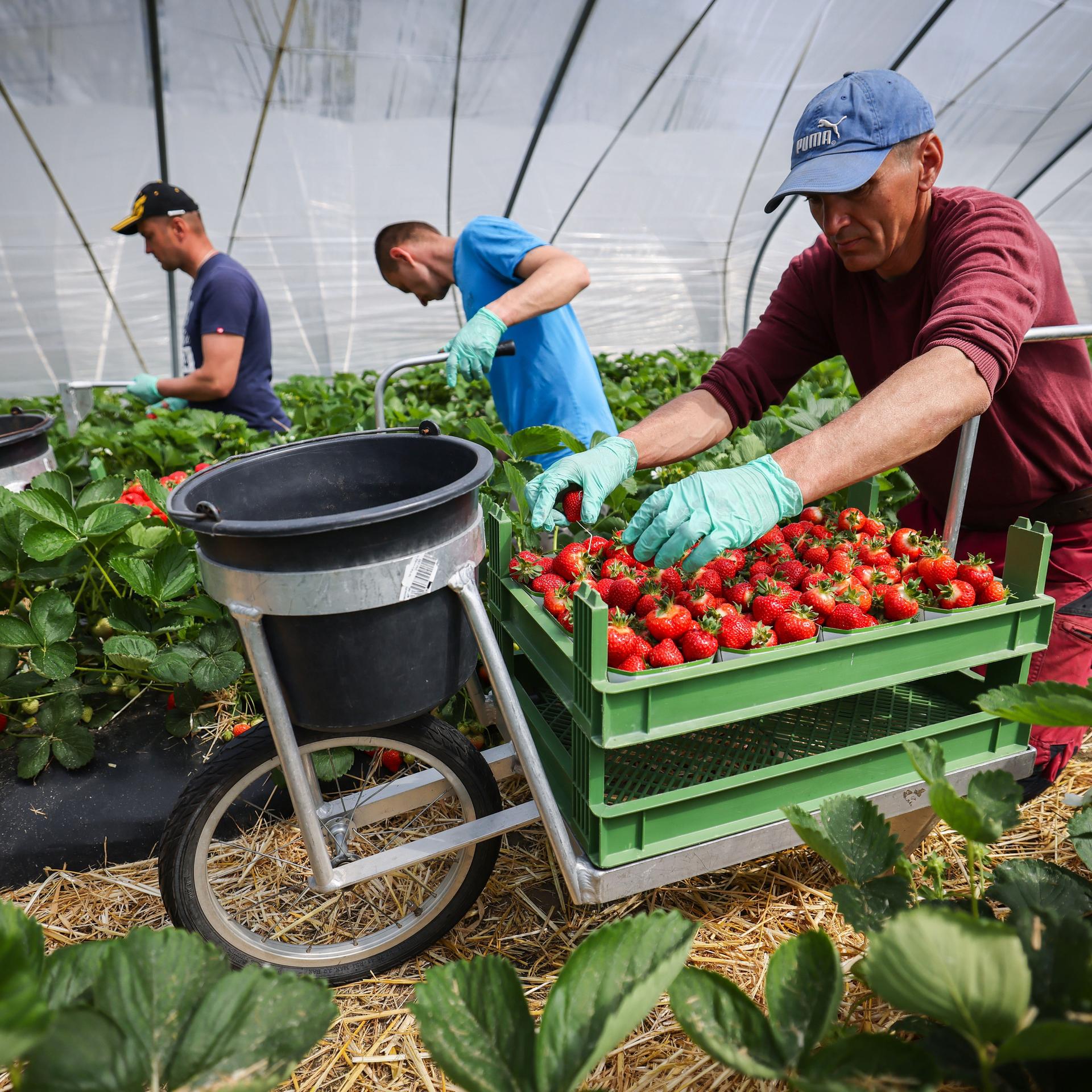 Politisches Feuilleton