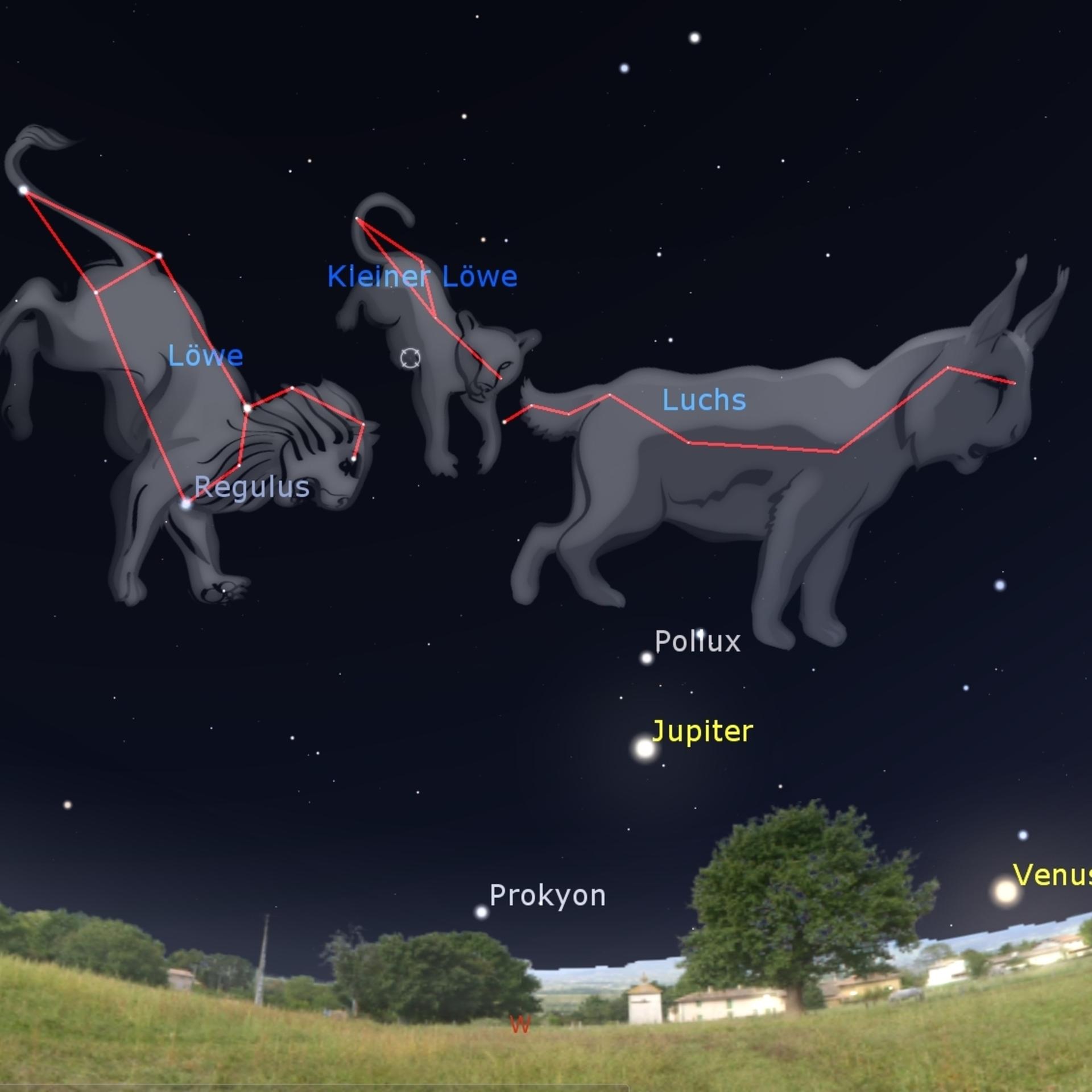 Dunkle Nächte - Drei Katzen schleichen über den Himmel