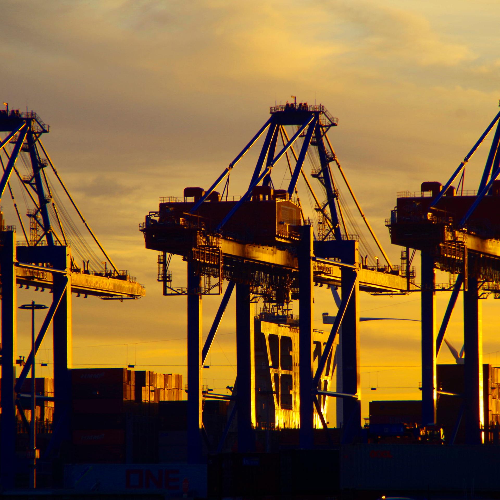 Containerbrücken im Sonnenuntergang im Hafen von Hamburg