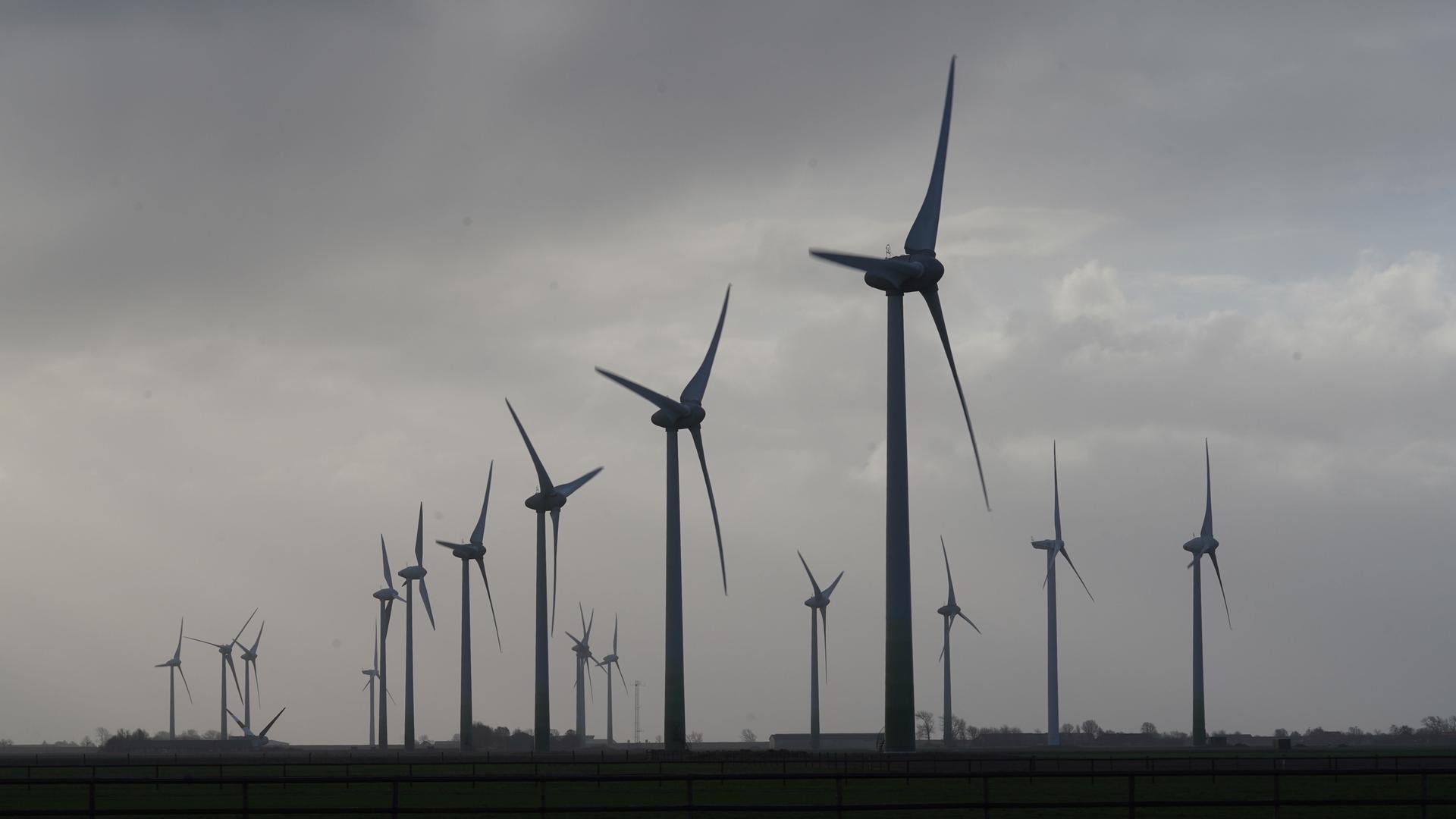 Windräder drehen sich bei bedecktem Himmel auf einem Feld im Wind.