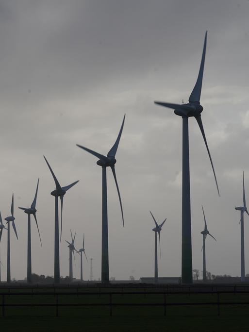 Windräder drehen sich bei bedecktem Himmel auf einem Feld im Wind.