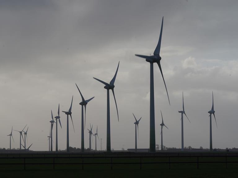 Windräder drehen sich bei bedecktem Himmel auf einem Feld im Wind.