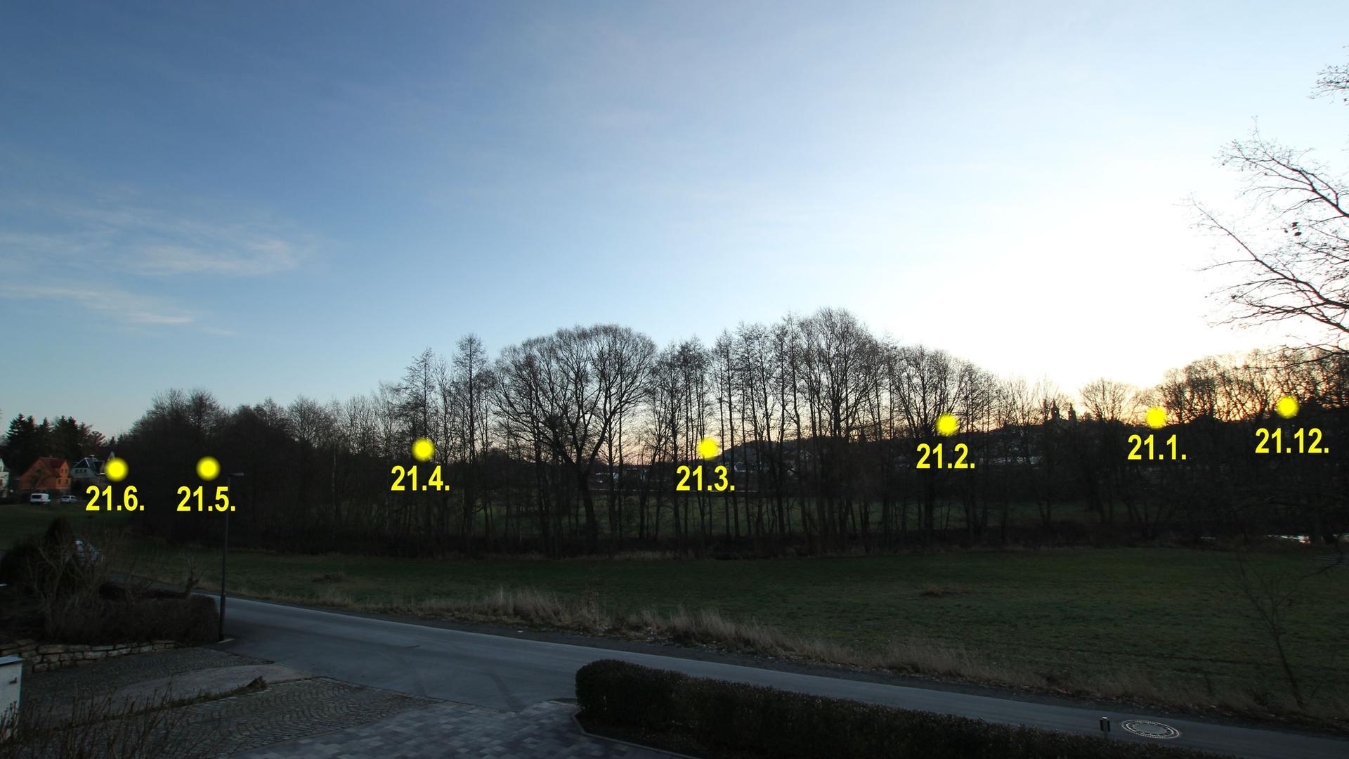 Zu sehen ist eine Wiese mit aneinandergereihten Bäumen, hinter denen die Sonne untergeht Zu sehen ist eine Wiese mit aneinandergereihten Bäumen, hinter denen die Sonne untergeht