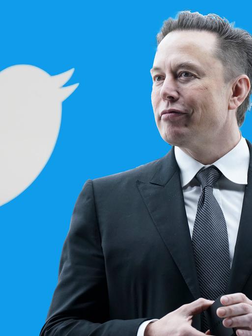 Symbolbild von Elon Musk neben dem Twitter-Spatzen 