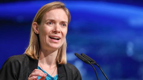 Anna Cavazzini, Europaabgeordnete der Grünen