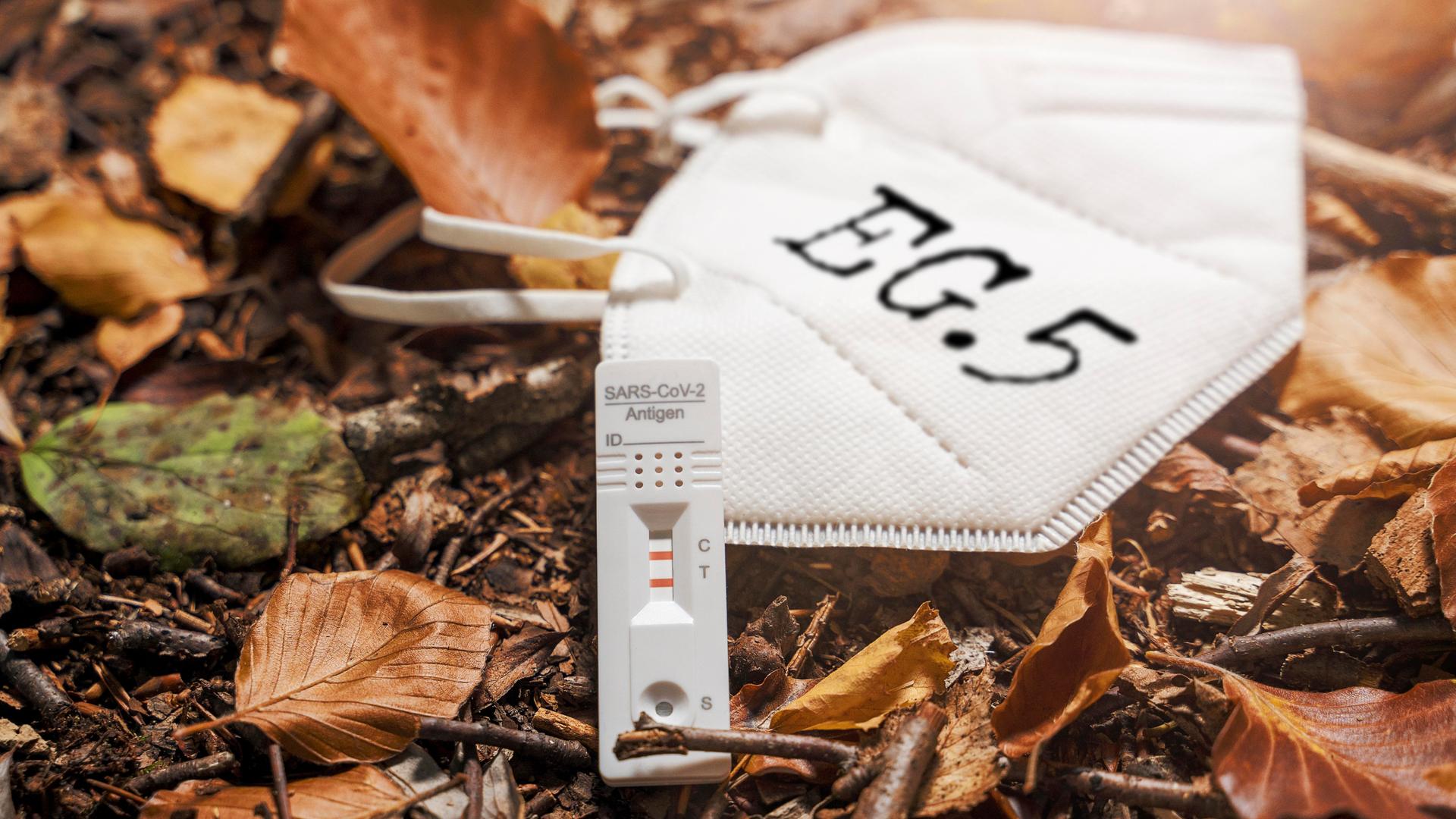 FFP2-Maske mit der Aufschrift EG.5 und ein positiver Schnelltest liegen auf Herbstblättern. FFP2-Maske mit der Aufschrift EG.5 und ein positiver Schnelltest liegen auf Herbstblättern.