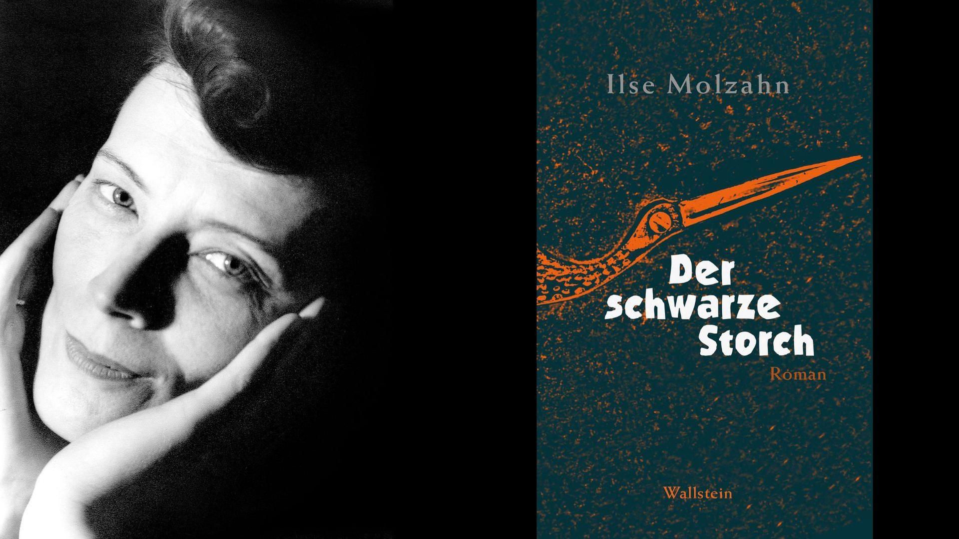 Ilse Molzahn: Der schwarze Storch
