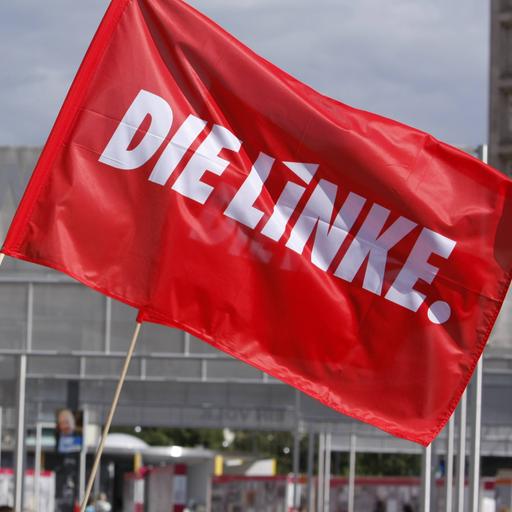 Eine Fahne mit Aufschrift "Die Linke" weht im Wind.