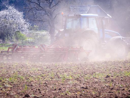Ein Traktor zieht eine Egge über ein Feld und wirbelt eine Staubwolke auf. Fehlender Regen und kräftige Winde die für eine Austrocknung des Bodens sorgen bereiten den Landwirten in Norddeutschland zunehmend Sorgen.