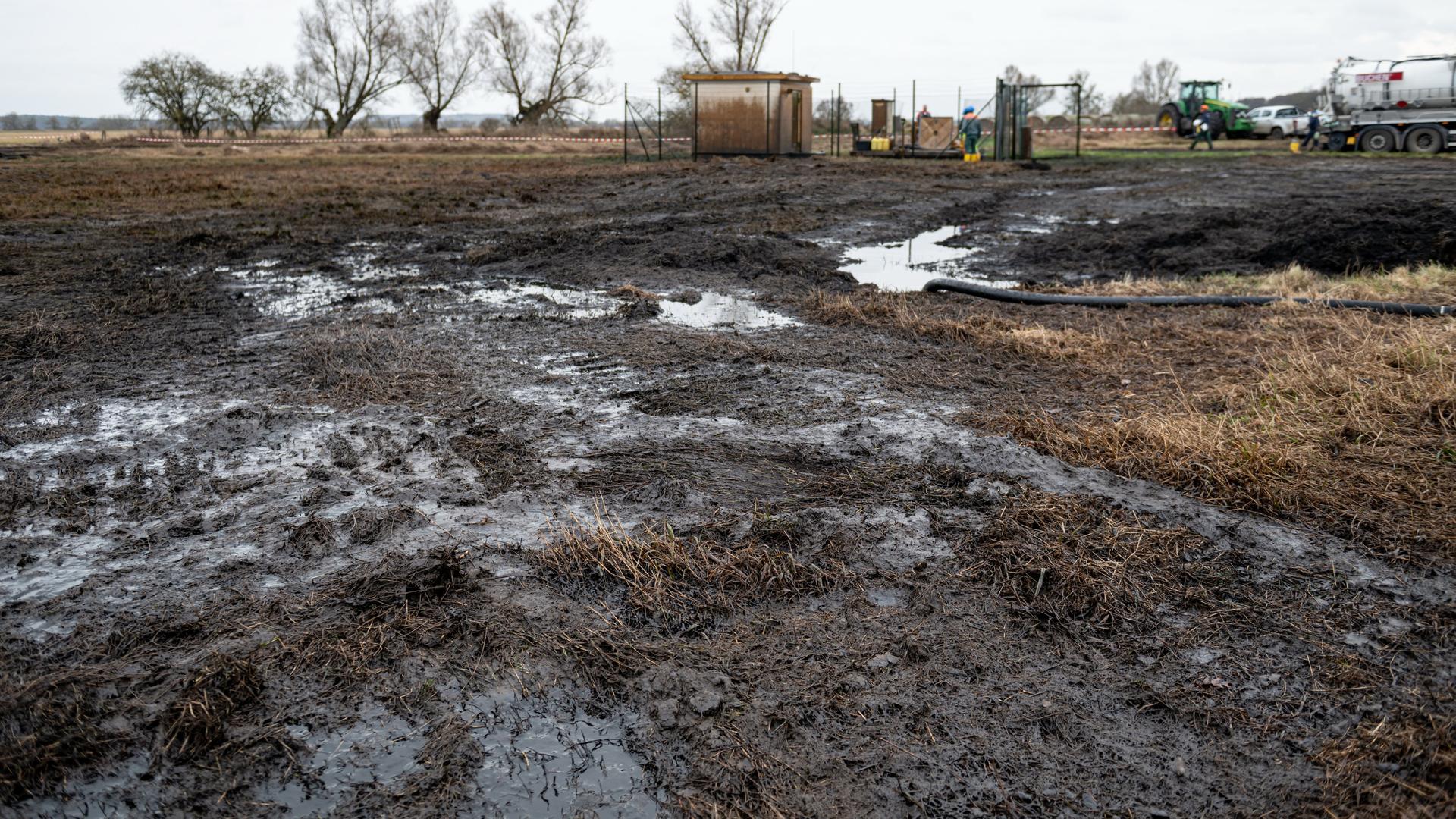 Brandenburg, Gramzow: Blick auf das verunreinigte Gelände, nach einem Leck an einer PCK-Pipeline. Brandenburg, Gramzow: Blick auf das verunreinigte Gelände, nach einem Leck an einer PCK-Pipeline.