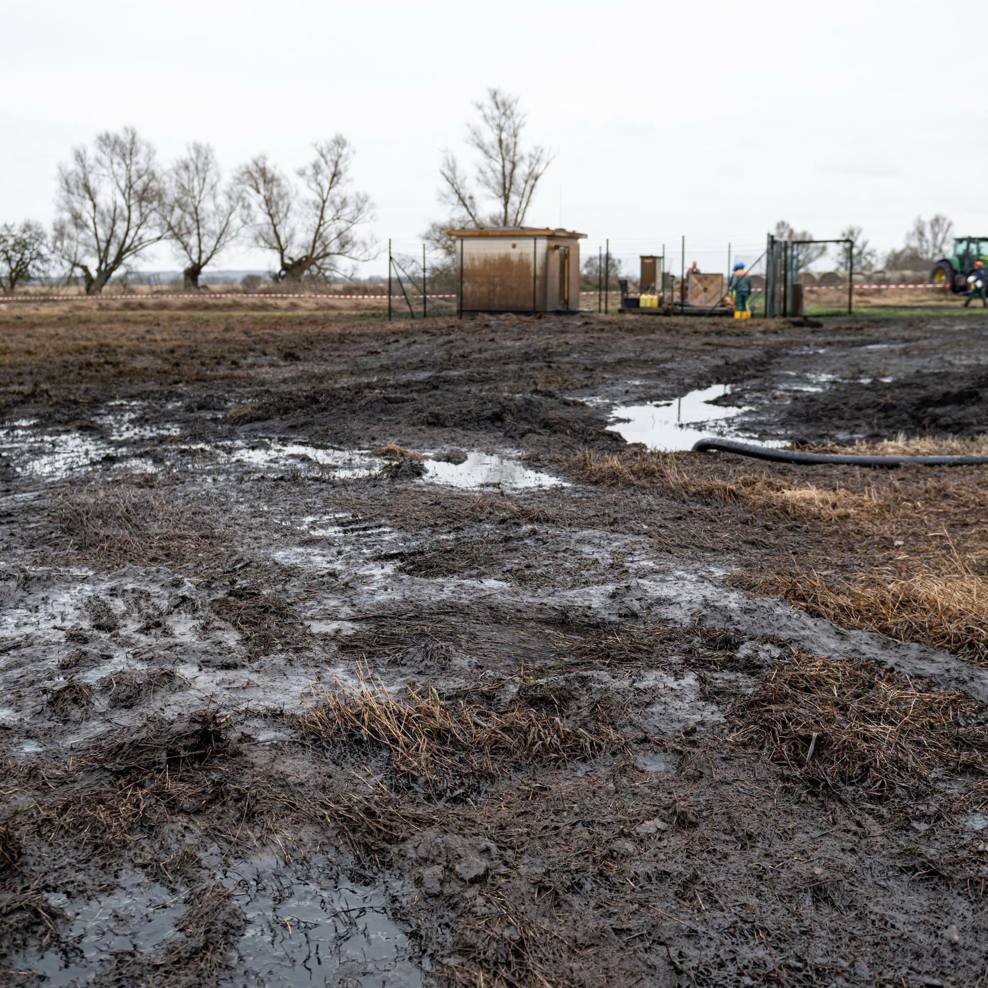 Brandenburg, Gramzow: Blick auf das verunreinigte Gelände, nach einem Leck an einer PCK-Pipeline.