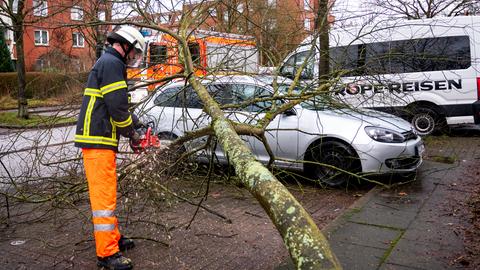Ein Feuerwehrmann zersägt einen Baum, der bei einem Sturm auf ein Auto gefallen ist.