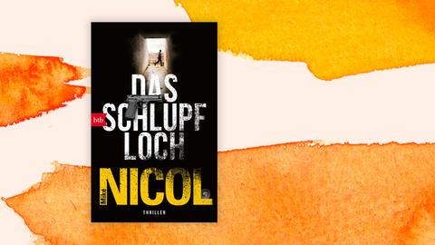 Das Cover des Buchs "Das Schlupfloch" von Mike Nicol vor einem Hintergrund mit orangenen Farbflecken.