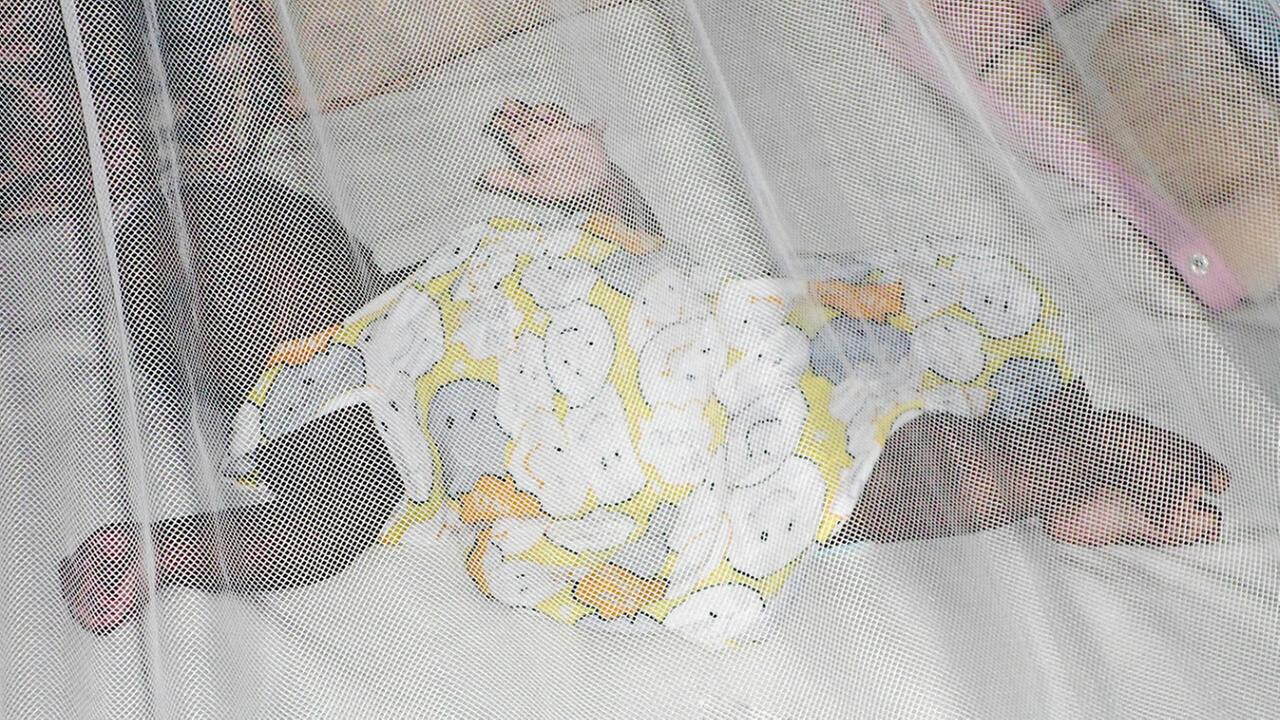 Ein drei Monate altes Baby liegt hinter einem Mückennetz Ein drei Monate altes Baby liegt hinter einem Mückennetz