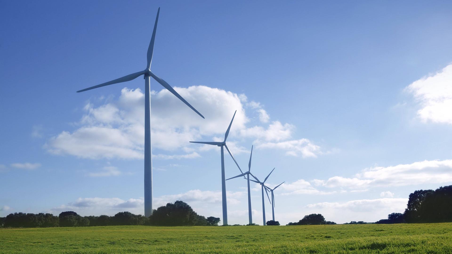 Ökologische Stromerzeugung mit Windrädern auf einer Wiese und unter blauem Himmel 