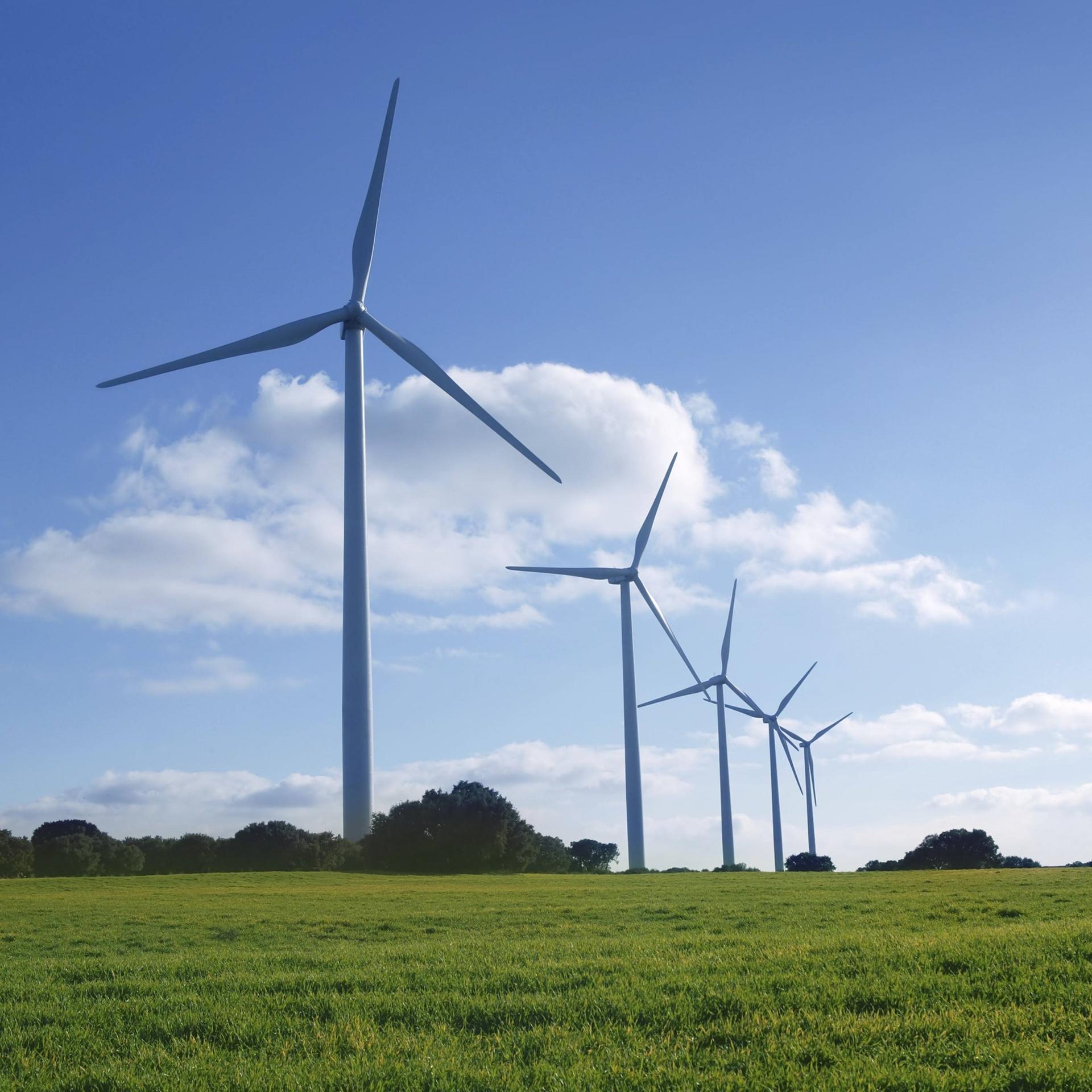 Ökologische Stromerzeugung mit Windrädern auf einer Wiese und unter blauem Himmel 