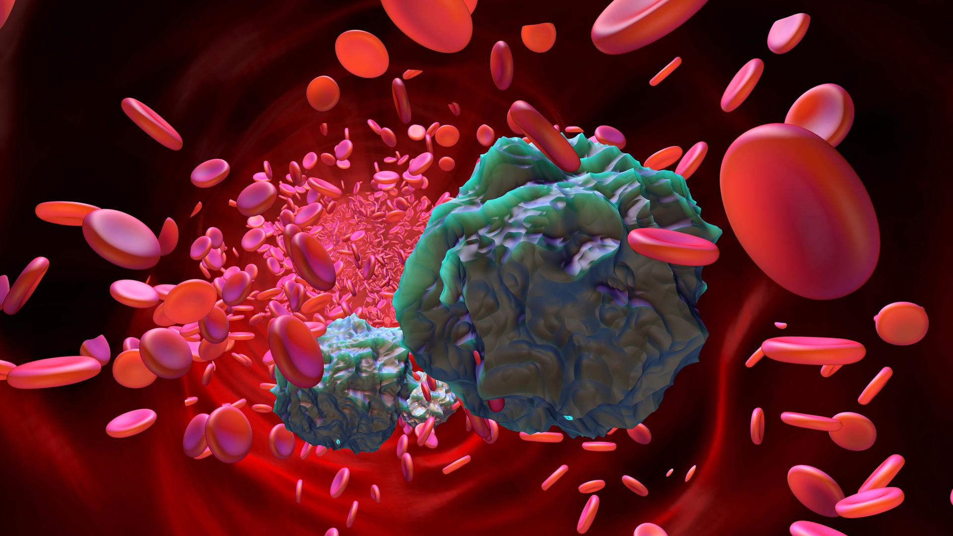 3D-Rendering von Leukämie-Zellen im Blutkreislauf